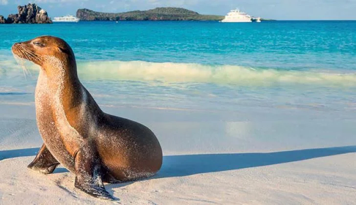 requisitos para viajar a Galápagos 2026