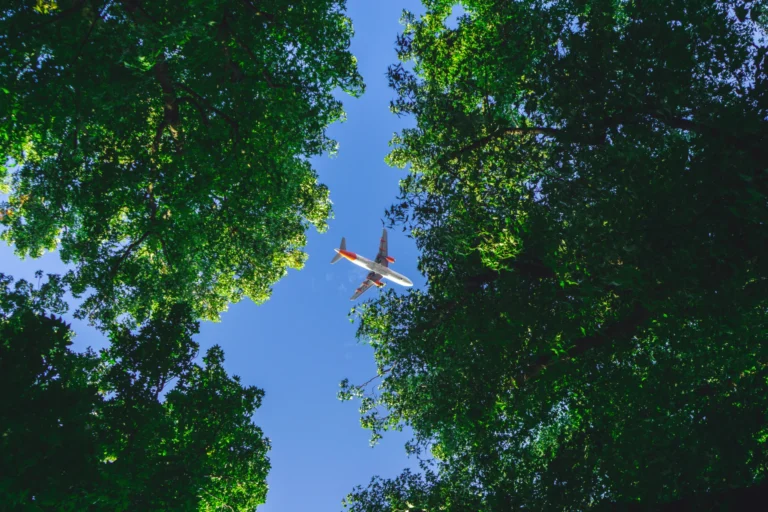 aviación sostenible