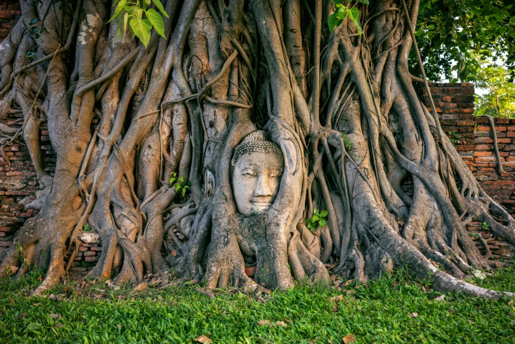 qué ver en Tailandia 
