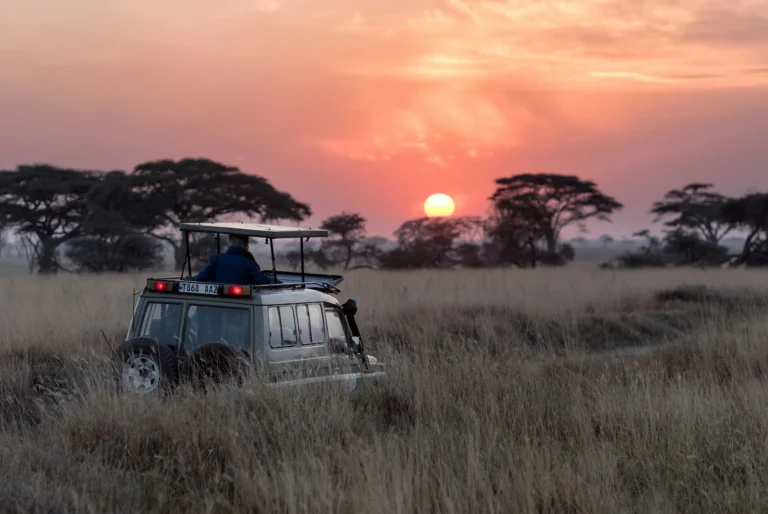 seguro obligatorio para viajar a Kenia y Tanzania